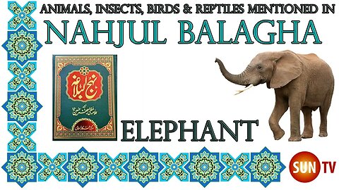 Elephant - Animals, Insects, Reptiles & Amphibians mentioned in Nahjul Balagha (Peak of Eloquence)
