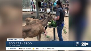 Boo at the zoo returning