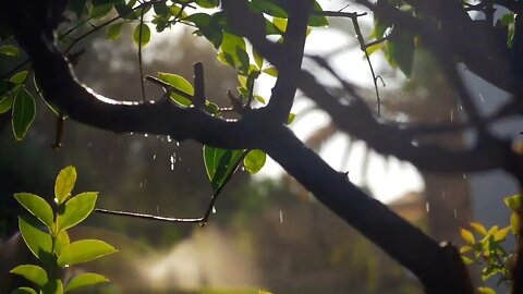 the view when it rains