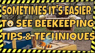 BEEKEEPING for Beginners | BEEKEEPER SKILLS YOU NEED TO KNOW #beekeeping