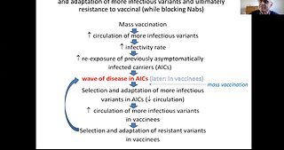 Geert Vanden Bossche Explains Innate Immunity and Herd Immunity - Using Vaccines During Pandemics