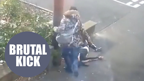 Shocking footage shows woman being kicked in the face by thug