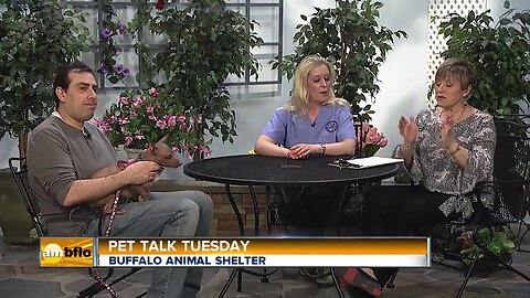 Pet Talk Tuesday – Free Rabies Clinics