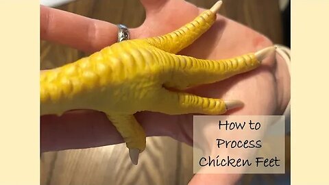 Processing Chicken Feet