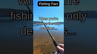 Fishing Facts #shorts #fishing #fishingfanatics