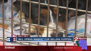 Bill opens market for selling puppies