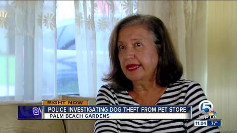 Police: Family's dog stolen from Palm Beach Gardens Petco