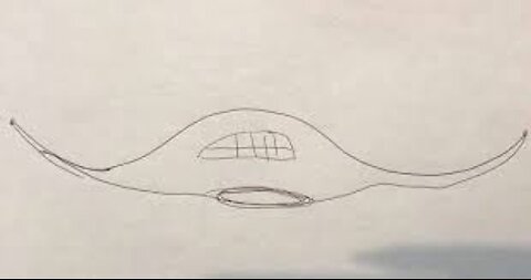 Huge Manta Ray Shaped Ufo Sighting- Quebec, Canada, Farnharn