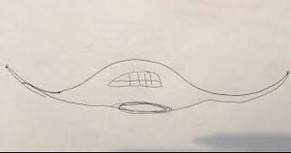 Huge Manta Ray Shaped Ufo Sighting- Quebec, Canada, Farnharn