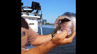 Funny Fishing Moments in Florida