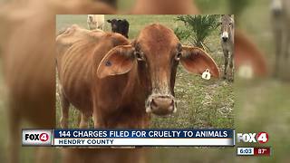 Man faced with 144 animal cruelty charges