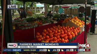 Farmers Market Mondays at Sanibel Outlet- 8:30 am hit