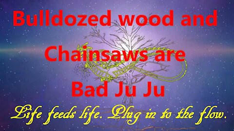 Bulldozed Wood and Chainsaws Are Bad Juju