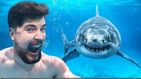 Mr Beast | Would You Swim With Sharks For $100,000?