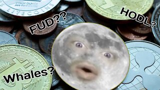 HODL? FUD? 20 Crypto Terms Explained!