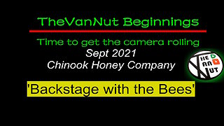 Back Stage With The Bees @TheVanNut Vanlife