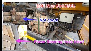 POWER STEERING HOSE 2001 BLUE BIRD A3RE | ALL AMERICAN SCHOOL BUS