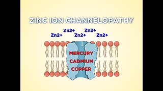 Heavy metals like mercury, cadmium, & copper can alter channel proteins, blocking vital nutrients.