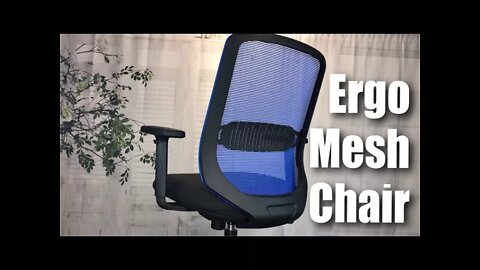 Ergonomic Mesh Office Chair with Lumbar Review