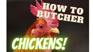 How to butcher chickens