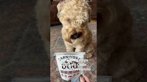 Carnivore Crisps Dog Treats