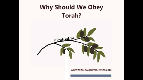 Why Should We Obey Torah?