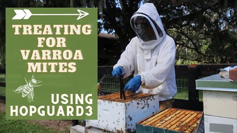 Treating for Varroa Mites using HopGuard3 | All-Natural Varroa Mite Treatment