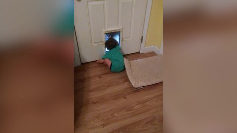 "Baby Boy Crawls Through A Doggy Door"
