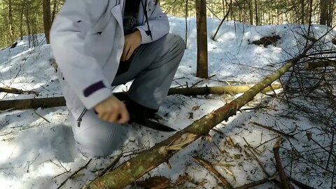 Solo Winter Bushcraft: Overnight in an Elevated Shelter-10