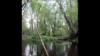 Fishing from a Kayak