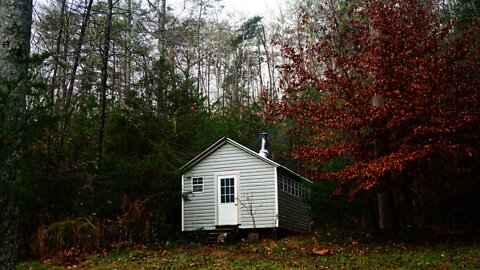 Splitting Wood for the Tiny House. Off Grid Cabin lifestyle in Asheville, North Carolina. #shorts