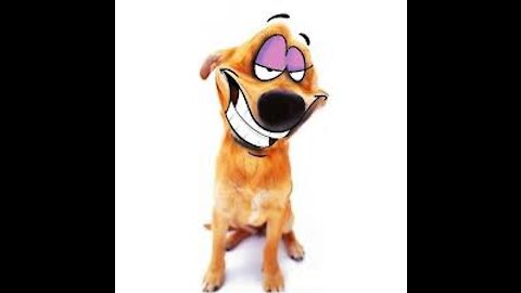 TikTok Funny Dogs!!! #funny dogs, #tiktok, #dog