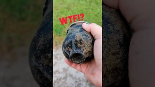 Metal Detecting Park | Treasure Hunting | Looking for Gold | Swinging for Rings