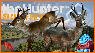 Roe Deer 🎯 Weekly Diamond Challenge - Diamond & Rare Hunting - theHunter: Call of the Wild