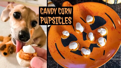 How to make Frozen Candy Corn Pupsicle Dog Treats