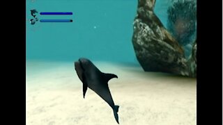 Ecco The Dolphin The Defender of the Future