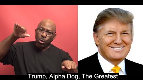 Trump, Alpha Dog, The Greatest - AfriSynergyNews - 2016