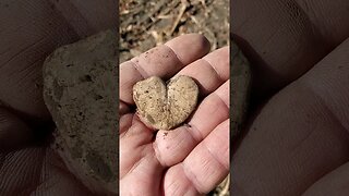 shot to the heart #coins #buttons #metaldetecting #silver #treasure #trending #civilwar #battlefield