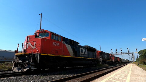 Train 482 CN 8916, CN 2662, CN 2678 & CN 2663 Engines Manifest Train Eastbound In Ontario TRACK SIDE