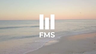 FMS - Free Non Copyright EDM Music #051