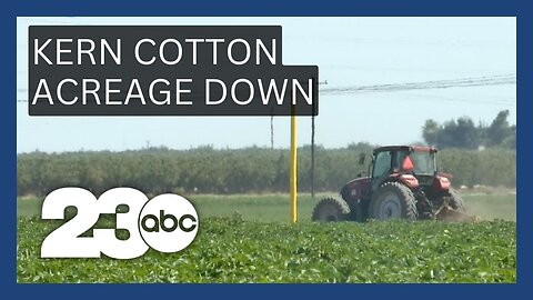 Soggy ground from winter floods impacts Kern County's cotton farmers