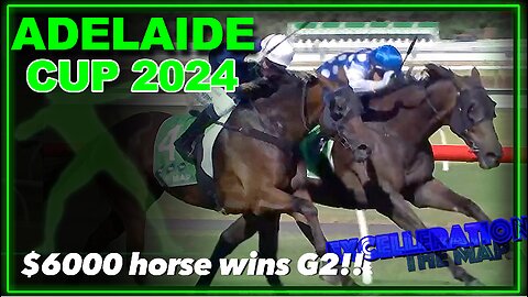 2024 Adelaide Cup | The Map, Excelleration, Amade