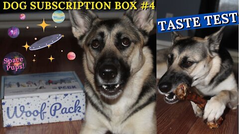 Dog Subscription Box "Space Theme" | My Dog Cant Figure Out How To Eat A Bone