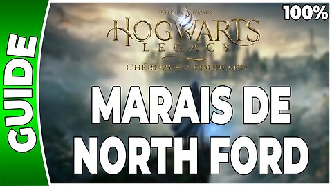 Hogwarts Legacy : l'Héritage de Poudlard - MARAIS DE NORTH FORD - 100% Coffres, Pages, Demiguises