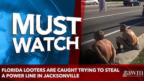 Florida looters are caught trying to steal a POWER LINE in Jacksonville