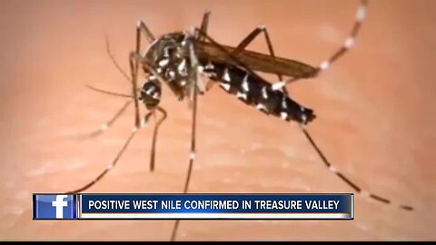 West Nile virus confirmed in Canyon County