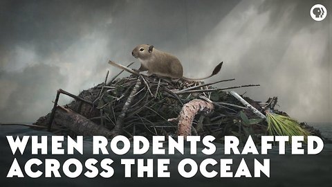 When Rodents Rafted Across the Ocean