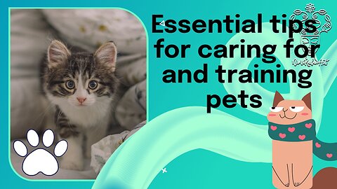 Essential tips for caring for and training pets (cats)
