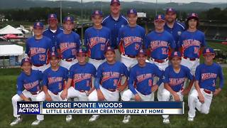 Grosse Pointe Woods little league team creates buzz at home