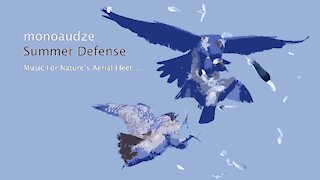 monoaudze / AudZe - Summer Defense (Single) (Music For Nature's Aerial Fleet)